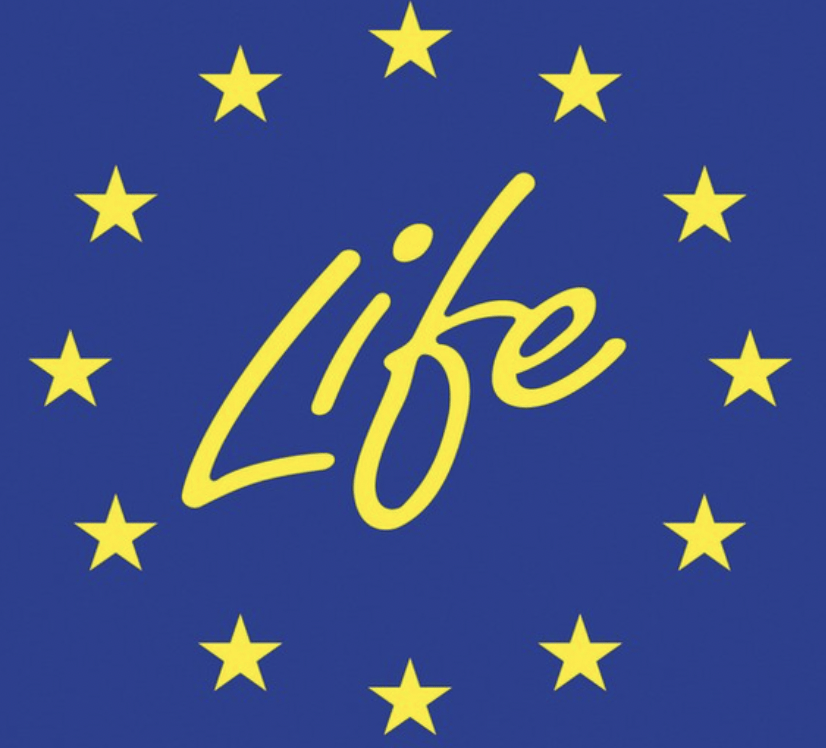 Programme LIFE : 380 millions d'euros pour 168 nouveaux projets verts dans toute l'Europe
